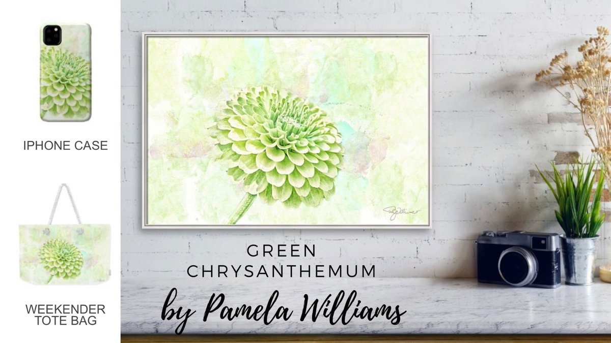 Green flowers symbolize nature, life and rejuvenation as well as youth and good fortune in some parts of the world. So let’s bring on the green! SHOP HERE: 3-pamela-williams.pixels.com/featured/10891… #wallart #buyintoart #gifts #shopearly #fineartamerica #homedecor #tshirts #stickers #AYearforArt