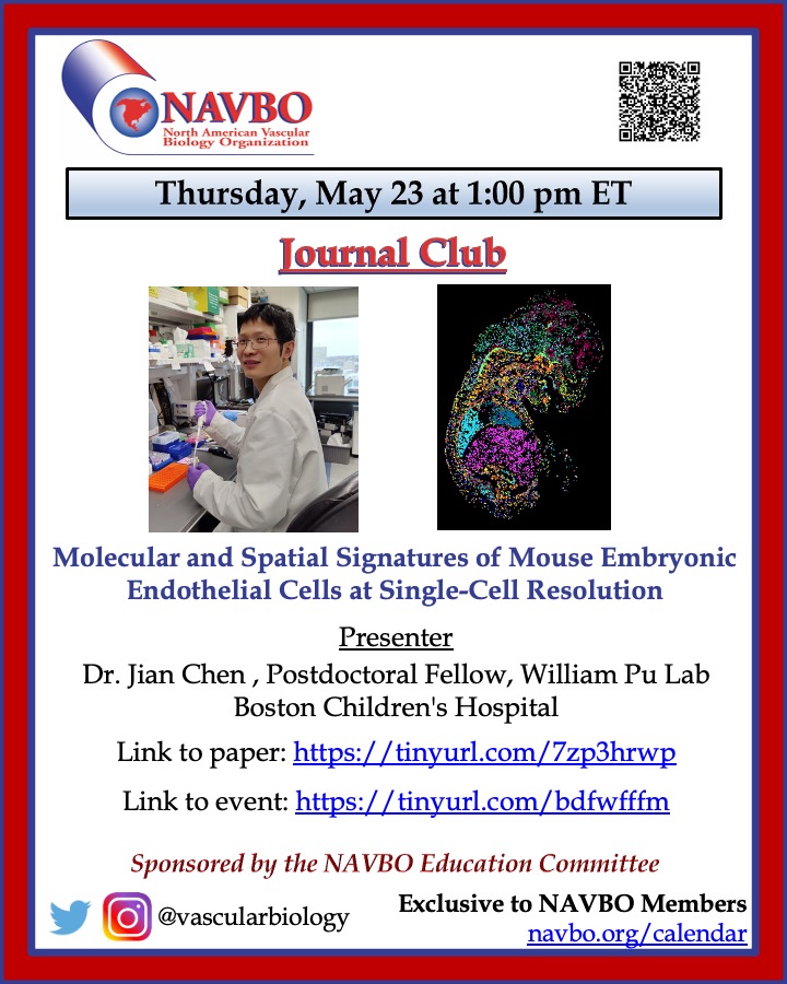 Join us for NAVBO Journal Club on Thursday, May 23 at 1:00 pm ET

Molecular and Spatial Signatures of Mouse Embryonic Endothelial Cells at Single-Cell Resolution

Presenter
Dr. Jian Chen, Boston Children's Hospital

Paper: tinyurl.com/7zp3hrwp
Event: tinyurl.com/bdfwfffm