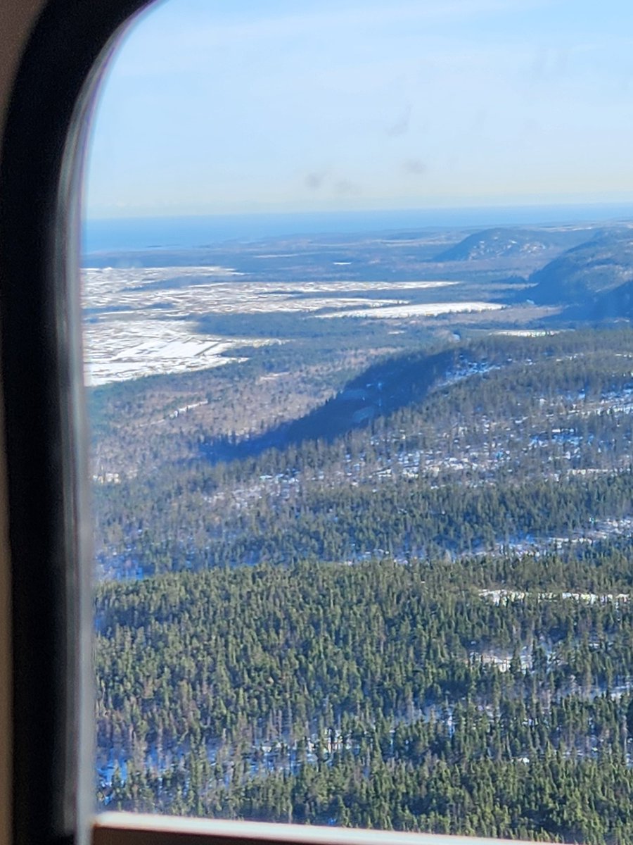 Max St Pierre tweet media