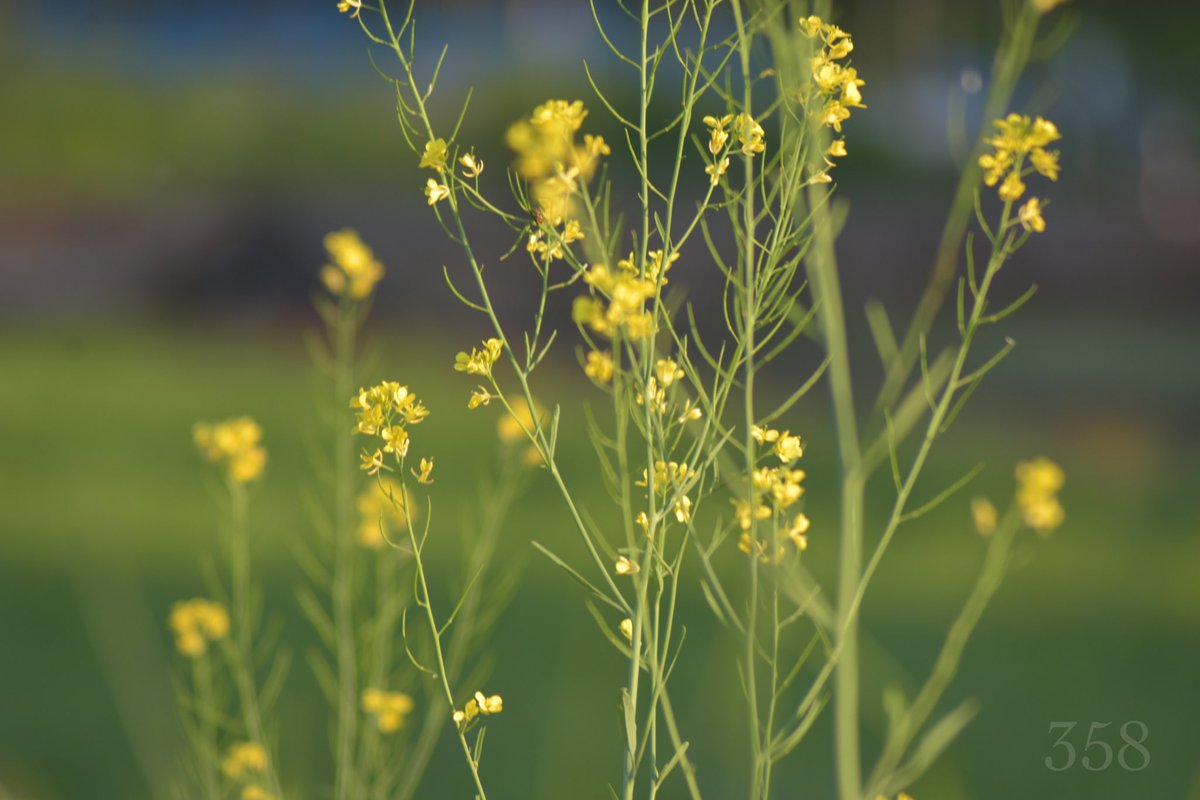 おはよう御座います^_^