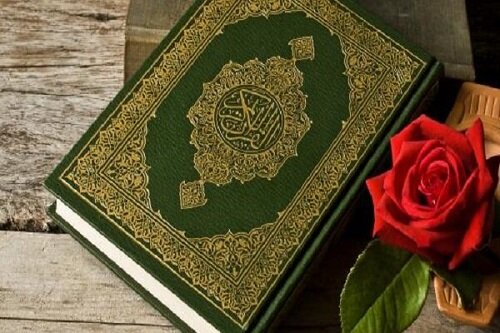 حناءشیخ tweet media