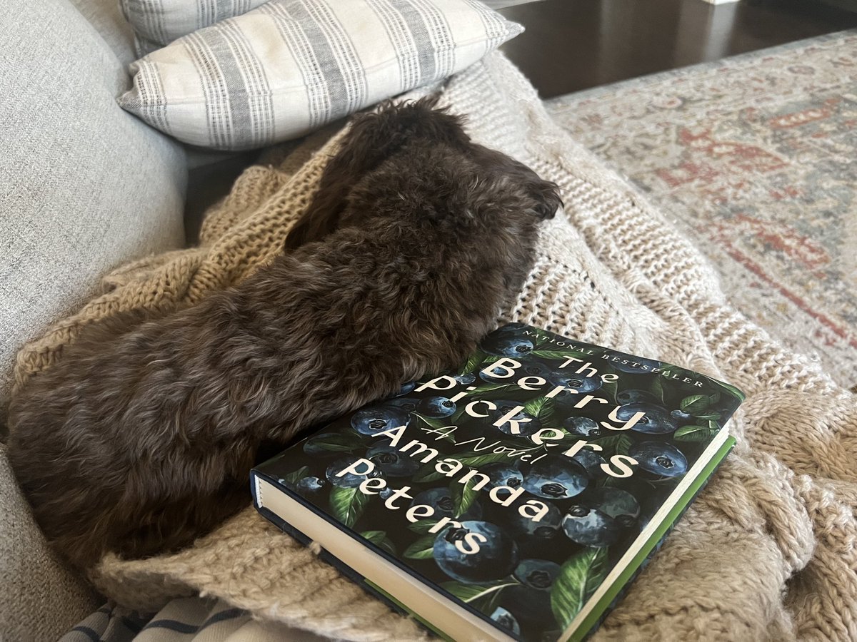 Dr. Monica Schroeder, pHCLE, NIU & DePaul alumna tweet media