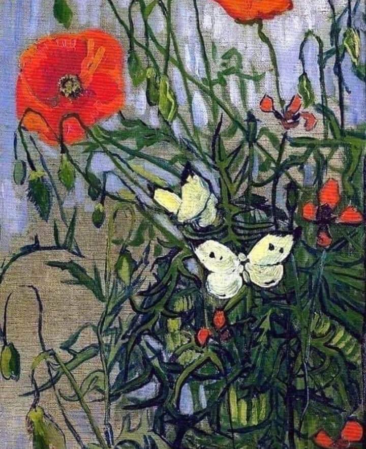 Arteymas_'s tweet photo. Vincent van Gogh amapolas y mariposas -1890 https://t.co/wLrjhvO6gz