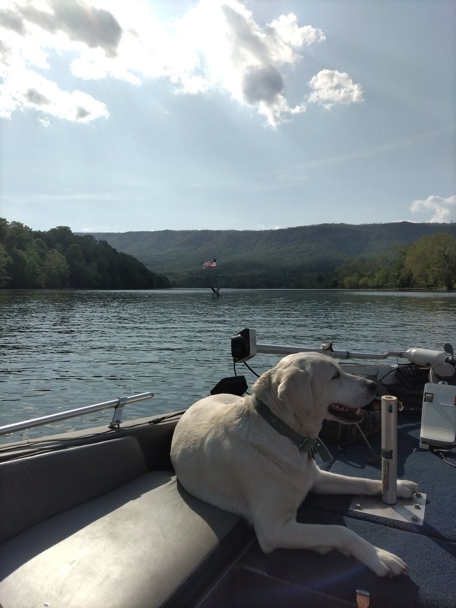 Blue ridge mountains, Shenandoah river #almostheaven