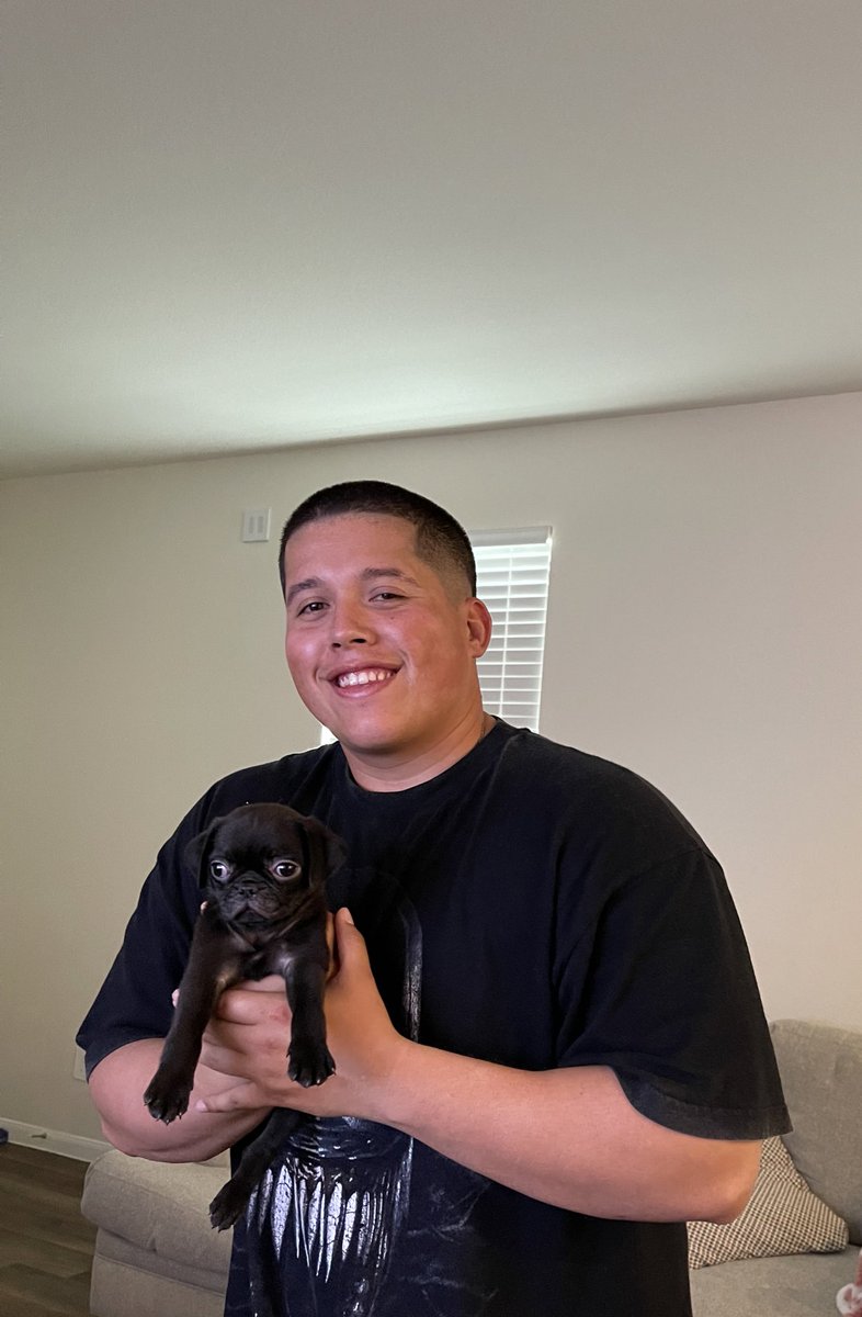bnicoleee19's tweet photo. lobo and i did a thing, our first puppy together everyone meet luna🥹💖 -@lombardogarza10 #pugmommaof4 https://t.co/RlnRW2eldn