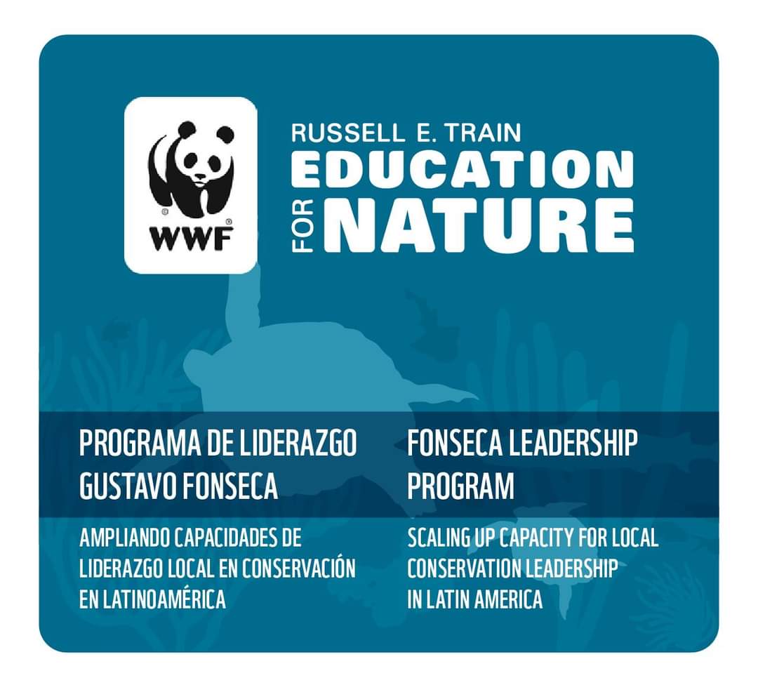 #Becas para Maestría y Doctorado Detalles de la Convocatoria en ▶️ files.worldwildlife.org/wwfcmsprod/fil…