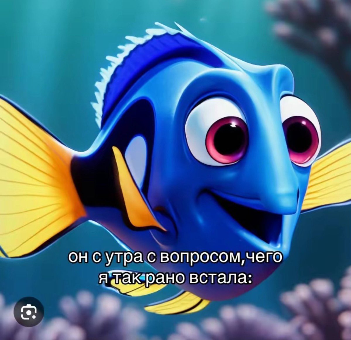checkouttme's tweet photo. было?? https://t.co/0rVY2gaAVP