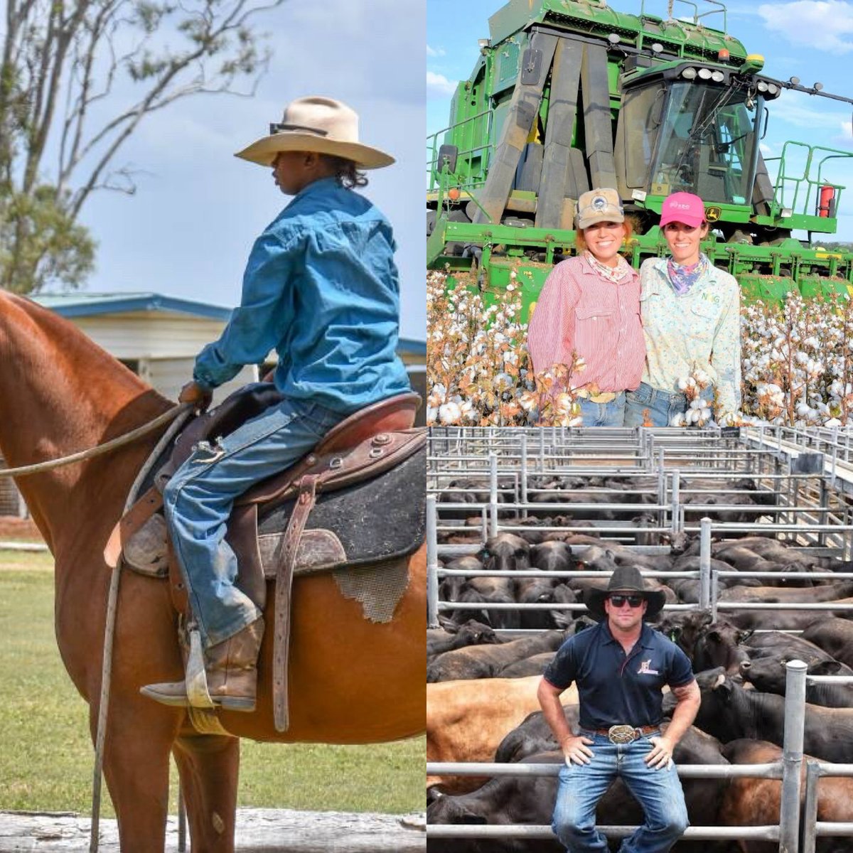 Ben Harden tweet media