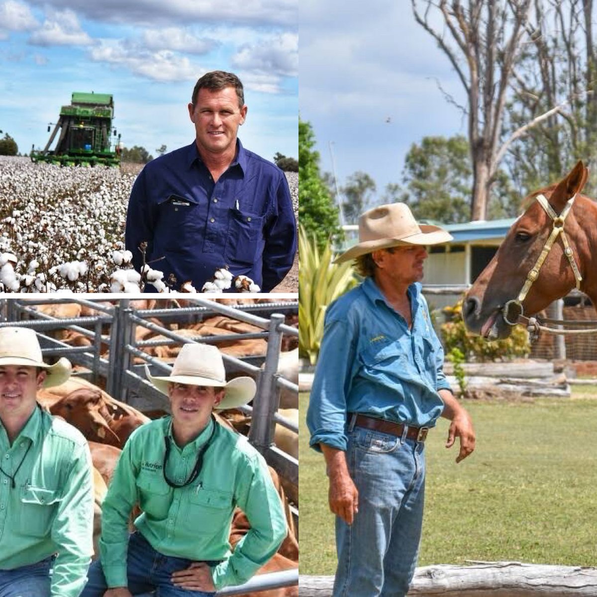 Ben Harden tweet media