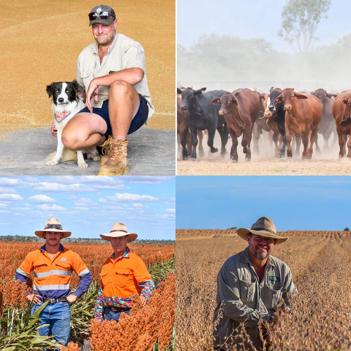 Ben Harden tweet media