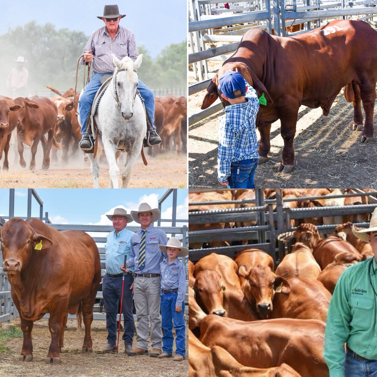 Ben Harden tweet media