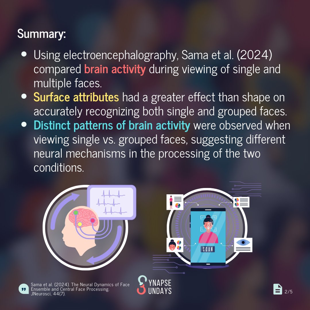 SynapseUofT's tweet photo. Ready to unlock the secrets of our brain's face recognition system? Swipe and dive into the fascinating world of facial perception as Sama et al. (2024) unravel the mysteries behind how we process single faces vs. crowded face ensembles! (1/2) https://t.co/IosdZBKX7t