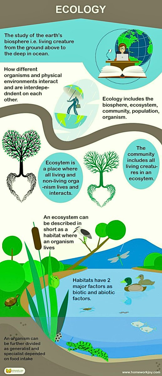 What is #Ecology? Here is a #informal if you're new to the #terminology.

#ecology #nature #ecofriendly #environment #eco #zerowaste #savetheplanet #climatechange #ecologie #ecologia #sustainability #wildlife #green #conservation #biology #biodiversity #naturephotography #earth