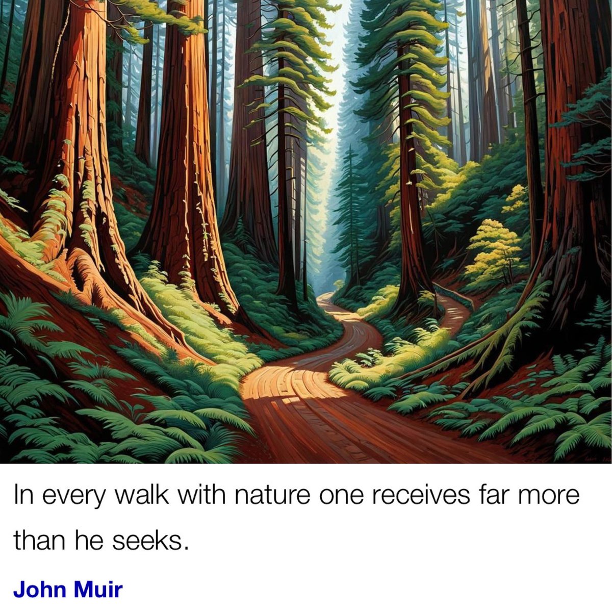 #JohnMuir #Redwoods #Nature #Walking #Meditation #California #RedwoodForest #walkingsports