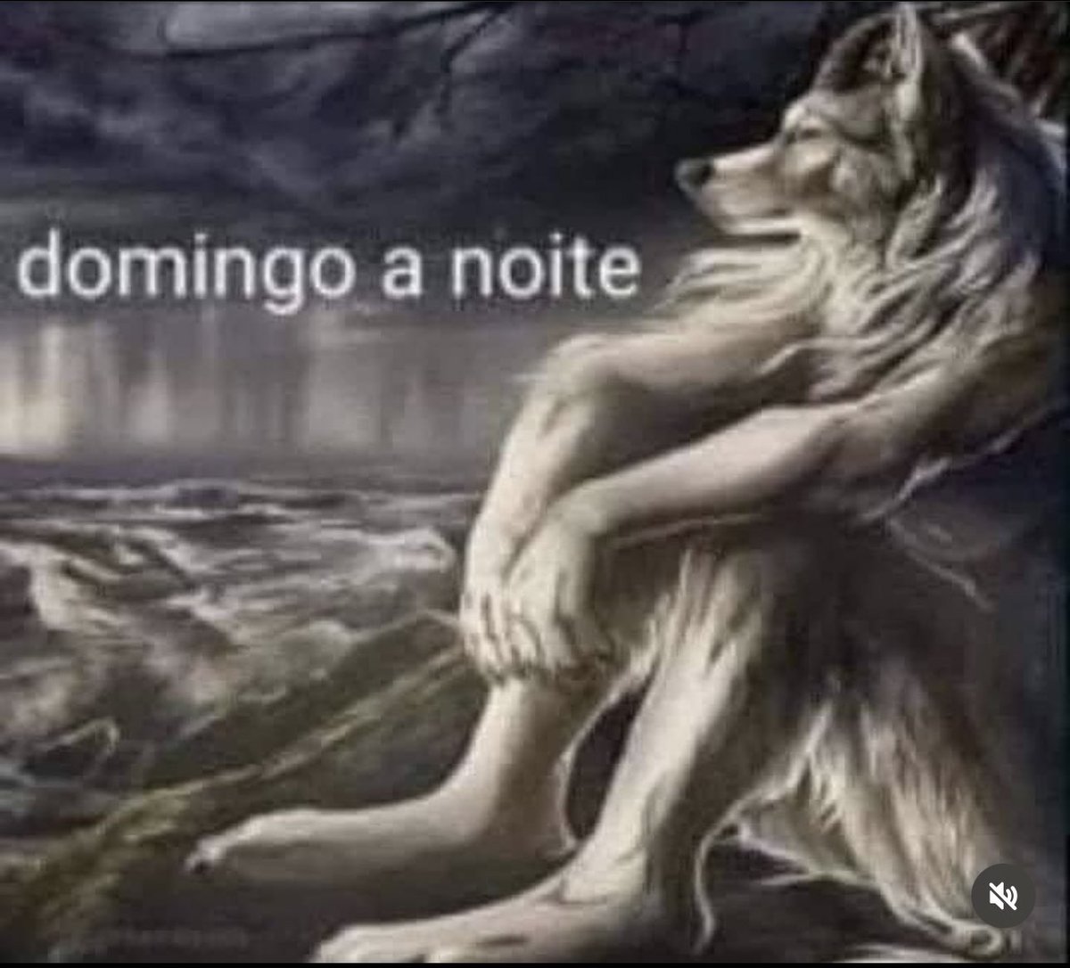 Todo domingo a noite eu assim