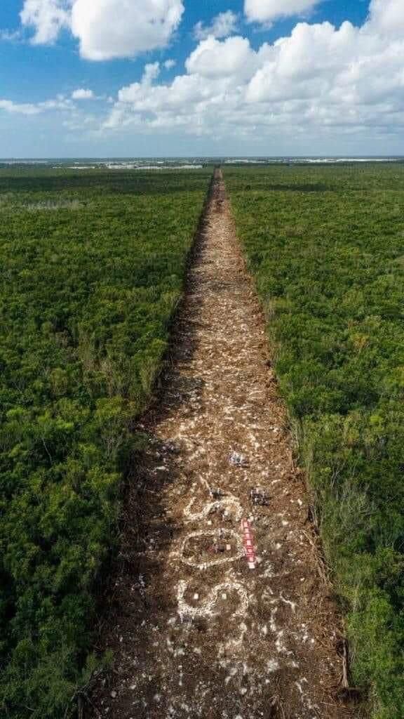 Qué dirá @Claudiashein en el #DebatePresidencial2024 sobre la devastación de la selva maya, uno de los sumideros de carbono más importantes del planeta. Que estamos reprobados en la transición a energías limpias y del alto índice de deforestación, el mayor de todos los sexenios