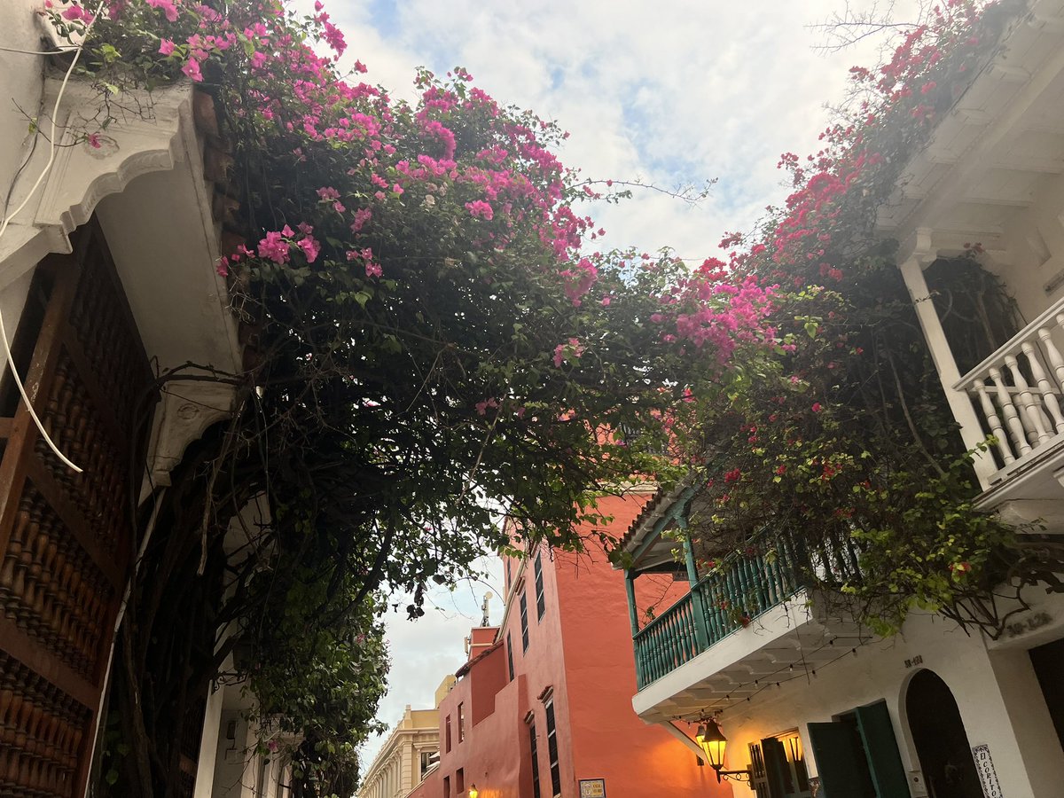 Everything is so picturesque and beautiful here in Cartagena! 🌸