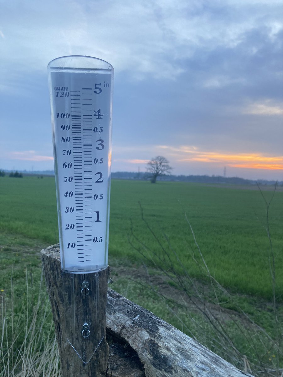 Some #sweetcorn in on Friday. A new rain gauge up today. One is sure to indicate how the other will do. #everyyearisanewadventure #farming #ontag