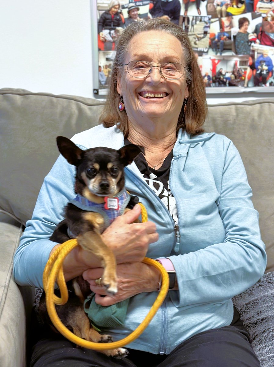 Unfortunately, Honey Bunches' caretaker lost their home and could no longer look after her. Betty, who was seeking the companionship of an older dog, found her at Muttville and told her everything was going to be A-OK. Home now in #SanFrancisco! Way to go, Honey Bunches! 💖