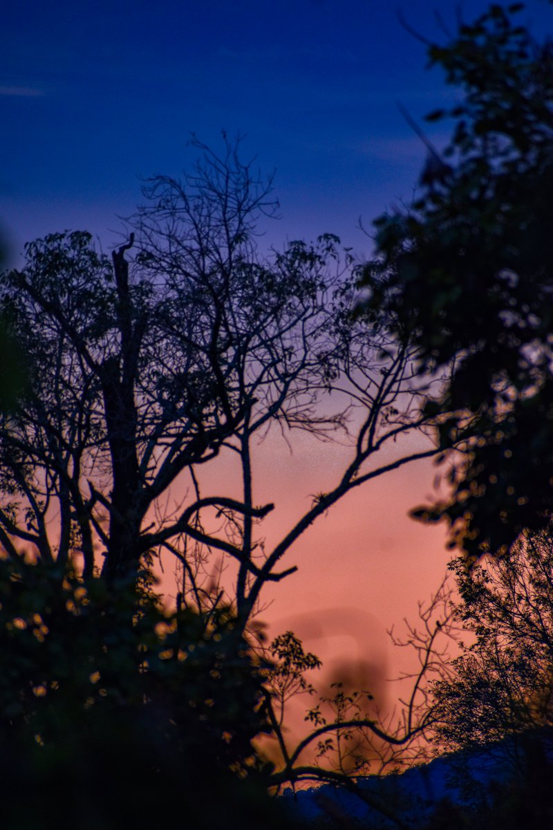 🌅 Disfrutando de la belleza del atardecer. Cada día nos regala un espectáculo único en el cielo. ¿No es maravilloso? #OscarPhotographyCapturandoLaRealidad #Atardecer #SunsetLovers #PuestaDeSol #ColoresDelCielo #MomentosMagicos #NatureLovers #VidaSimple 🌇