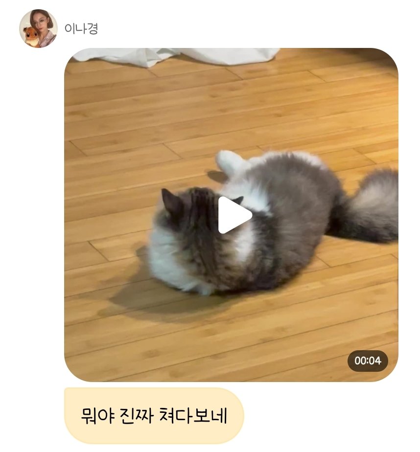 nk00_0707's tweet photo. 월요일 아침 아로 영상 보고 손해보지 마시길 https://t.co/2KdkvsyVOj