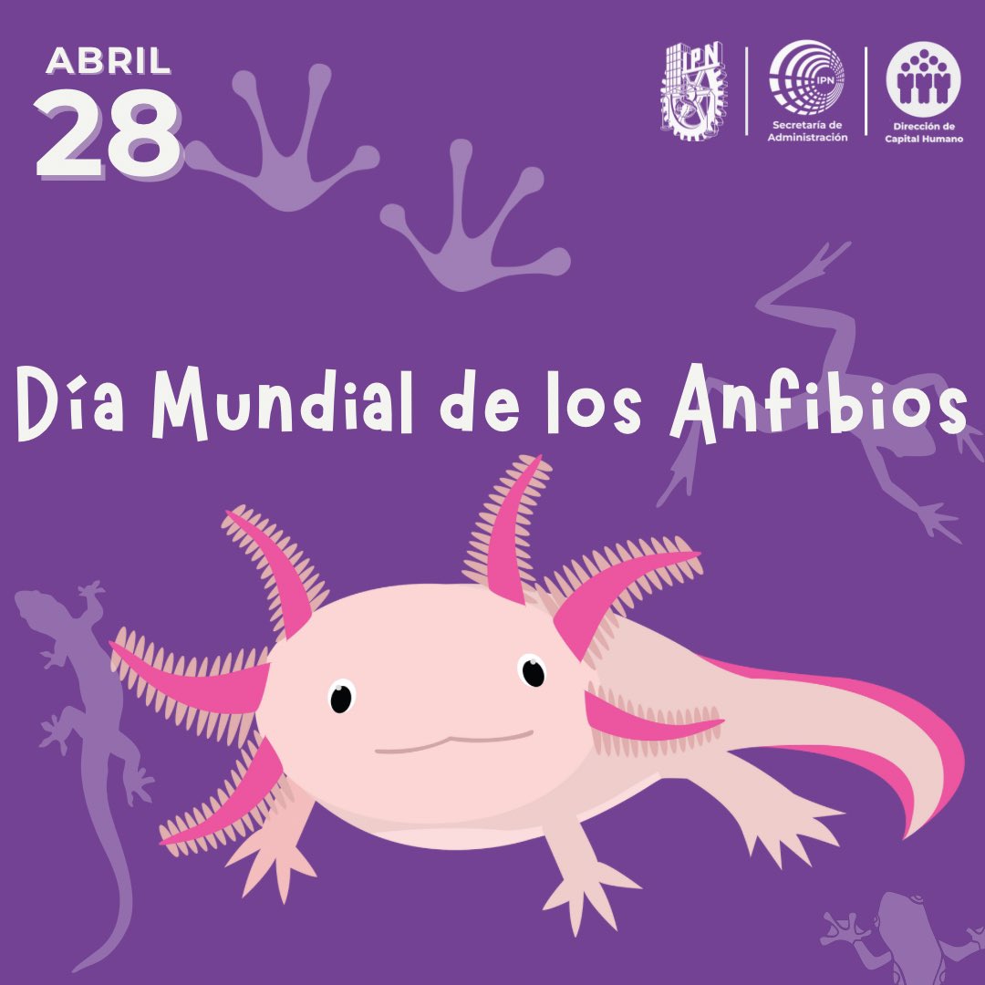 🐸💙 'Hoy aprovechamos el Día Mundial de los Anfibios para aprender sobre la importancia de estos pequeños seres en los ecosistemas. 🌍💦🌱🐸 . #DíaMundialDeLosAnfibios #Biodiversidad #IPN #Fortaleza_SAD