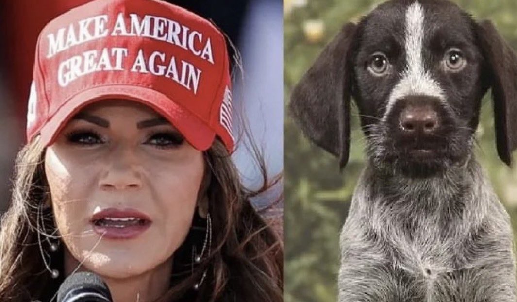 From now on, whenever anyone thinks of Kristi Noem they’ll remember that she shot her puppy in the face and dumped him in a gravel pit. #PuppyKiller