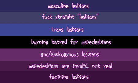 decided that, yeah i should repost this on twt. ik those pro mspec 'lesbians' r gonna come after but idc tbh. anyways!!

lesbians who are against mspec-'lesbians'.
btw i have more flags like this <3
#lesbianvisibilityweek #lesbitwt #flagtwt