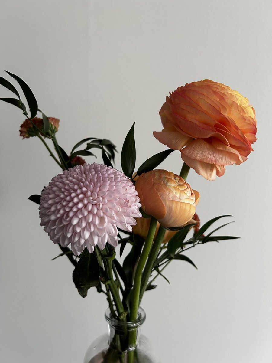 miyabi_bclife's tweet photo. 職場でもらったお花🦠🎈🧶

#花 #お裾分け #BClife https://t.co/g5jeZH32mR