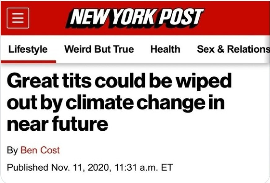 Morning Shitkickers 👋 We need to act!Now, lads! #climatecrisis
#savegreattits