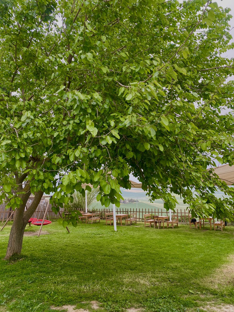 Les paysages du nord tunisien : une symphonie en bleu et vert qui envoûte l'âme. 💚
#Tunisie #VisitTunisia #Africa