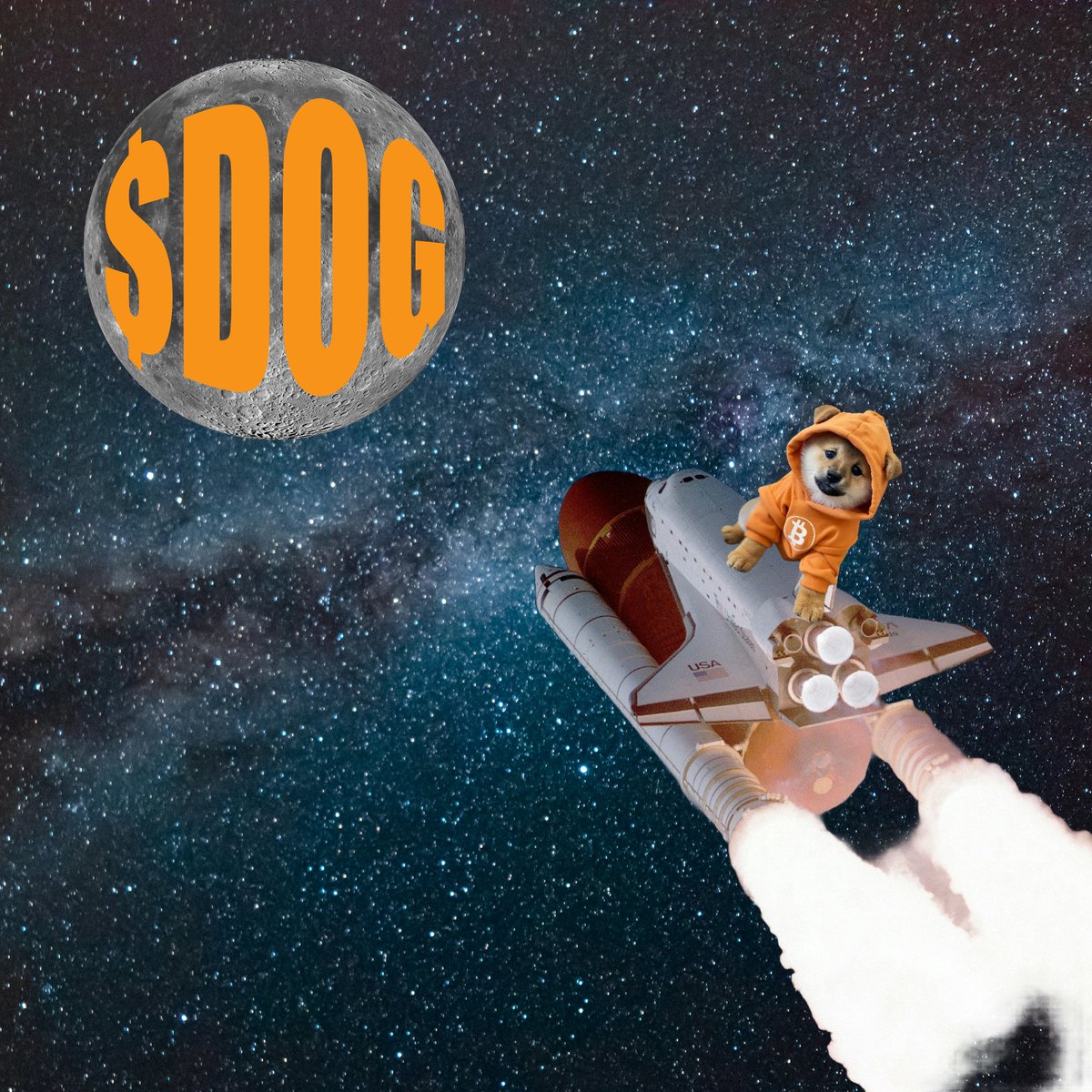 The $DOG army has one mission: DOG•GO•TO•THE•MOON