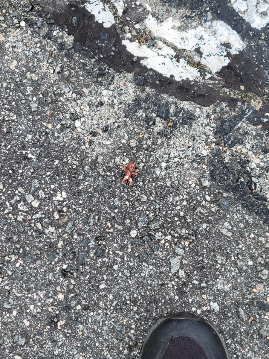 alex (@goherping) on Twitter photo 