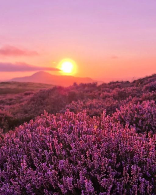 Stunning scenes brought to your screen from the Lomond Hills in Fife, captured beautifully by @szkocki.pl