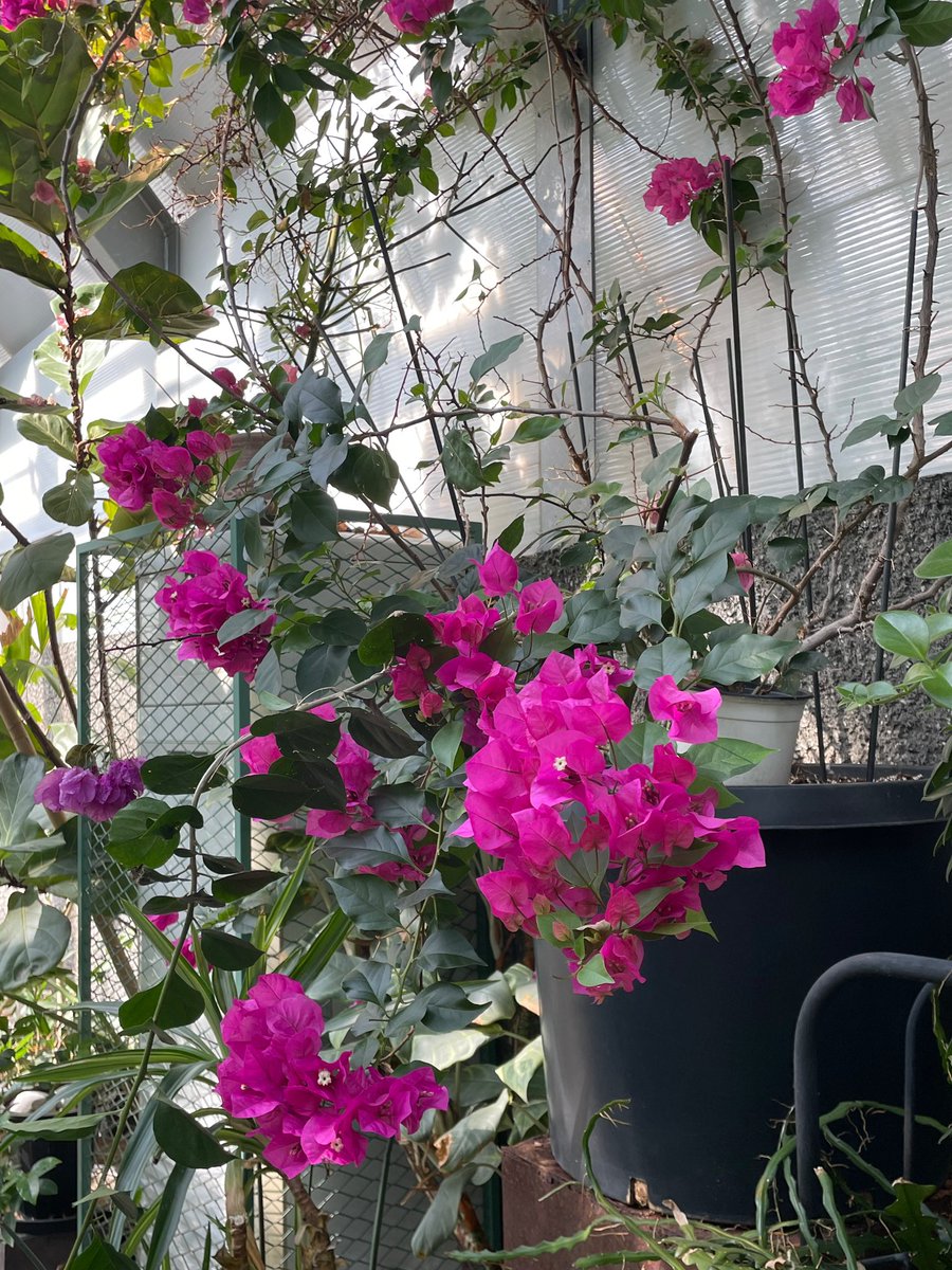 [🦄📝] 240429 ARTIST POST 2:39PM KST

(the) last week of april, (the) first week of may
everyone, spend this week well ♡