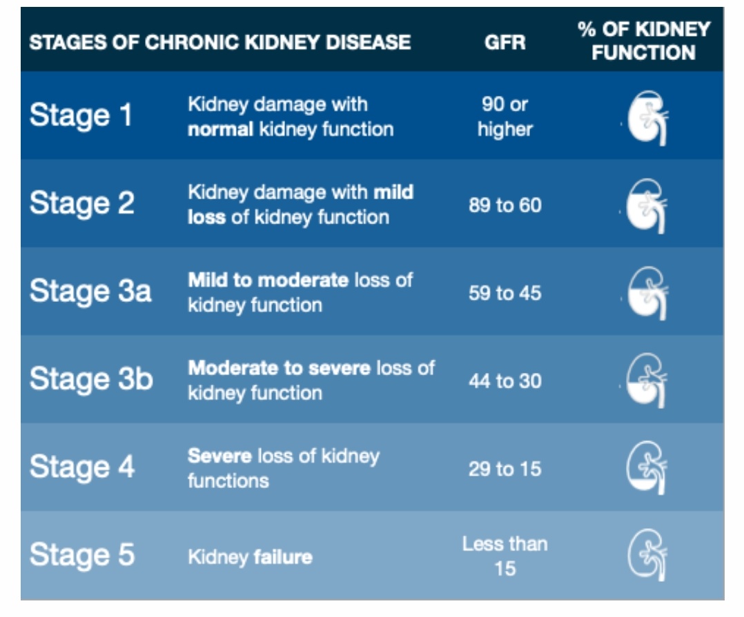 #kidneys #kidneydisease #CKD #causes #prevention #awareness #children Know your kidneys : What happens when kidney function is affected? Know the main causes of kidney disease in children. Click on the link to know more .. kidneywarriorsfoundation.org/chronic-kidney