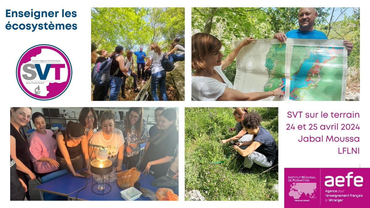 🔎 #SVT sur le terrain : Enseigner les #écosystèmes 🌿 🌳Les participants ont exploré le travail sur le terrain en #écologie dans la magnifique réserve de #biosphère de @Jabal_Moussa. 🌲#Didactique de l'étude des écosystèmes. 🏫 @lycee_ni 🗣 Berenice Corlay & @CedricPignel