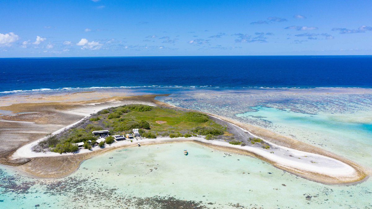 🪸How did the early Great Barrier Reef manage rapid environmental change? @Sydney_Uni scimex.org/newsfeed/how-d…