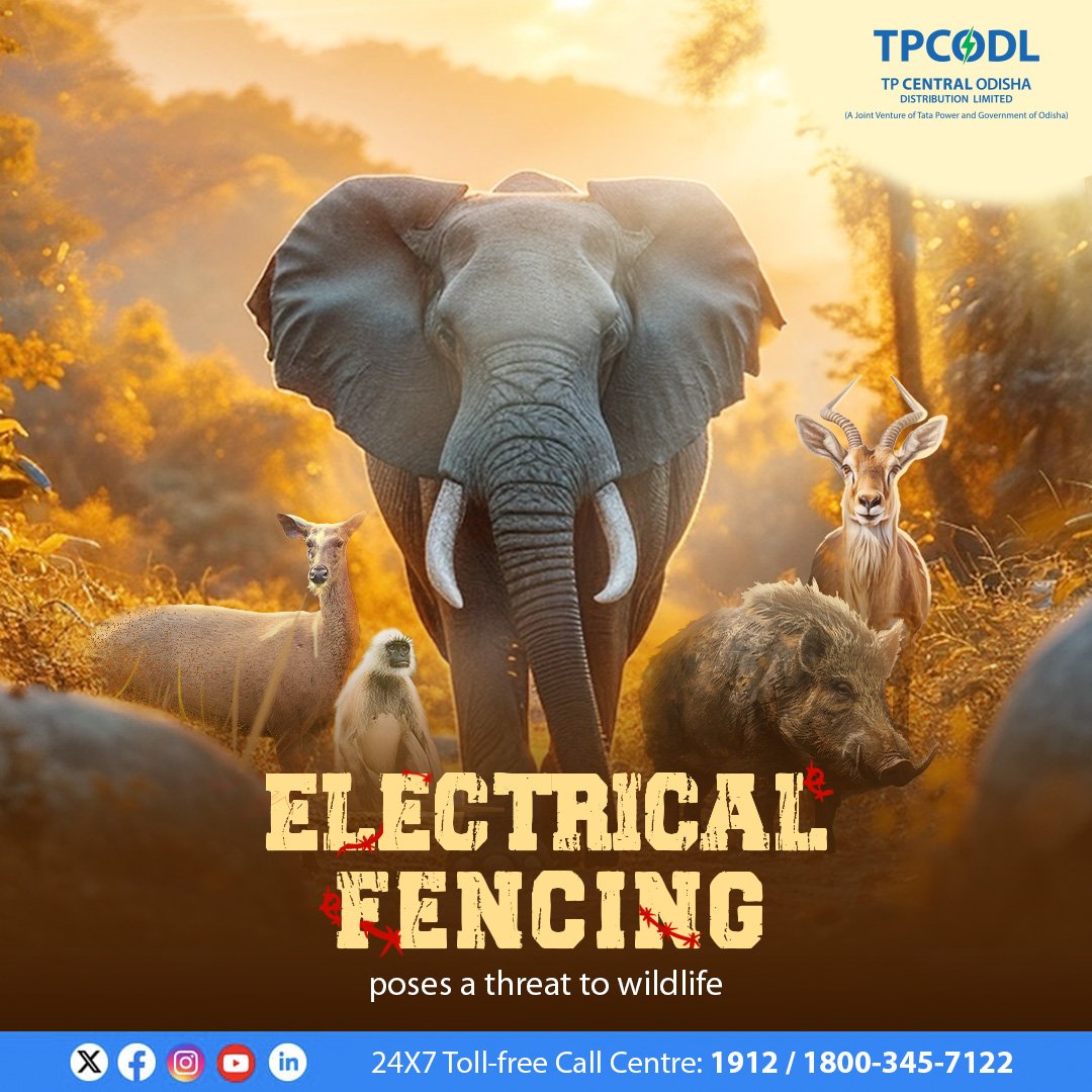 TPCentralOdisha's tweet photo. Preserving our wildlife is a shared responsibility. Electrical fencing poses a danger to animals. By raising awareness and taking action to prevent poaching, we can protect the beauty and diversity of our state.

#ProtectOurWildlife #StopLivewirePoaching #TPCODL https://t.co/S2UyjcKZs2