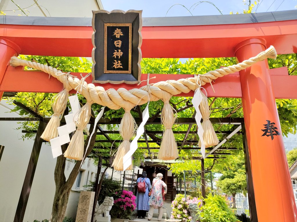 日本三大名藤のひとつ野田藤を見に…
野田藤発祥の地、春日神社へ。
藤の花のは少なめ、終わりかけでした。
4月28日撮影
#野田藤  #春日神社  #日本三大名藤 
 #野田藤発祥の地  #藤の花