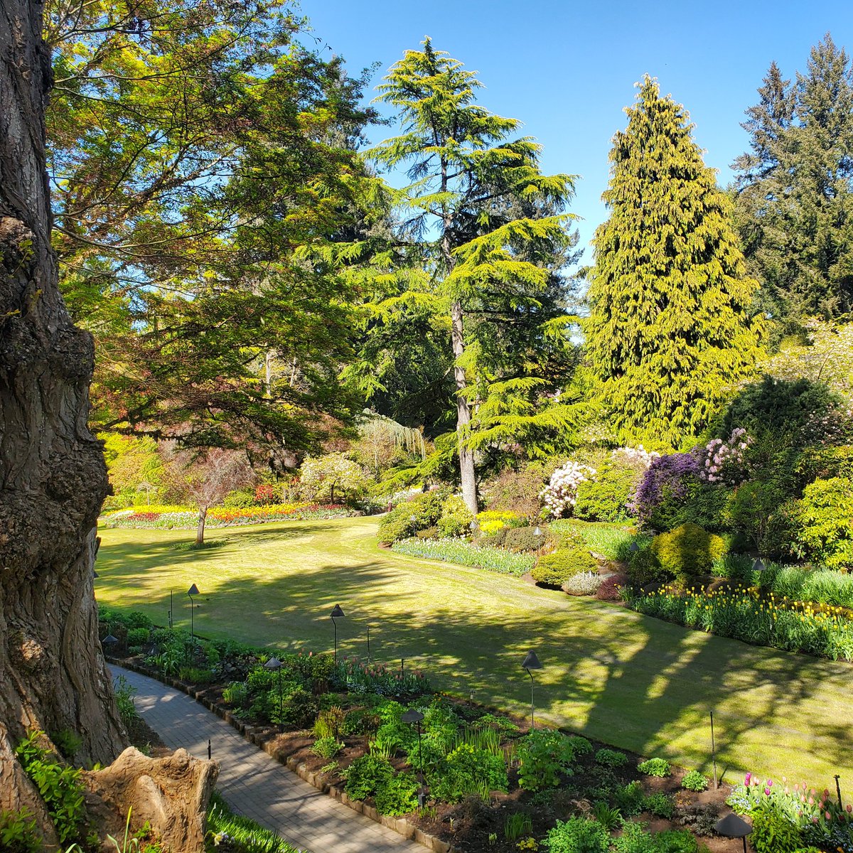 Butchard Gardens near Victoria BC Canada. 
'Nature is loved by what is best in us.' Ralph Waldo Emerson

#ButchardGardens #BeautifulBC #Canadian roadtrip #author #Canadaadventureseeker #Landscapephotography