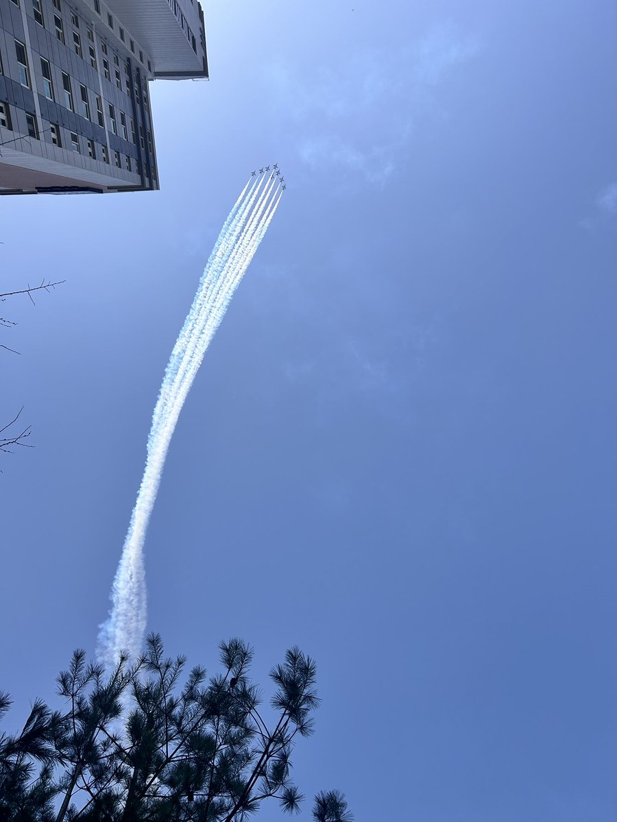 atika pragita tweet media