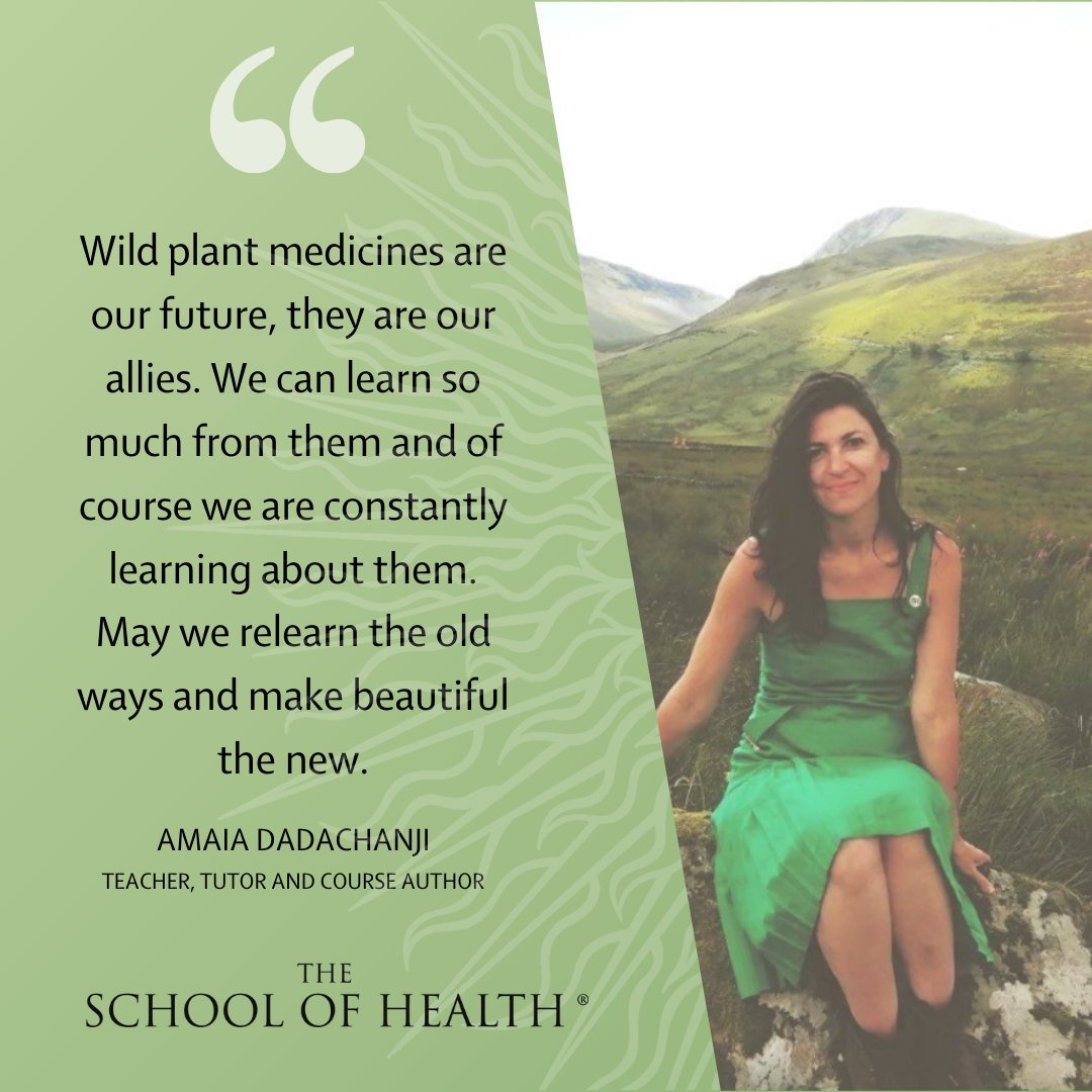 Curious about herbal medicine?
...
schoolofhealth.com/herbal-medicin…
...
#herbalmedicine #plantmedicines #naturalmedicine #BeBetterNaturally