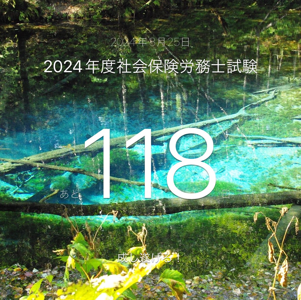 おそようございます☀️

明け方から事件でバタバタしてたけど、やっと終わったのでシャロ勉開始。6時間くらいはやりたい。社労士の世界の動画も観たいし猫とも遊びたい。24時間くらい寝たい…

🔥レクチャー視聴･トレ問･ツボ：厚生年金/国民年金

#社労士24  #9フレーム #8エレメント #社労士試験