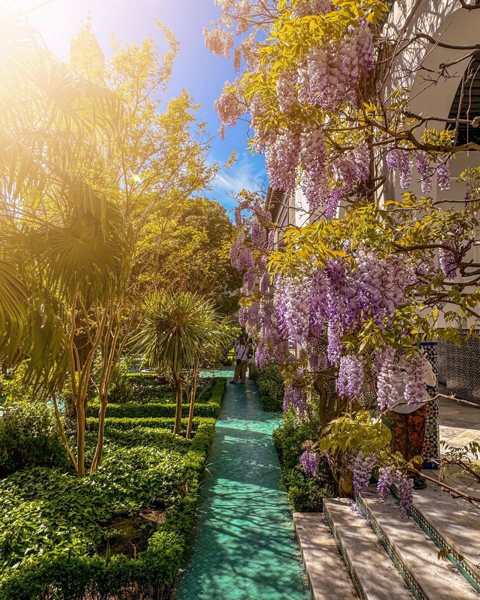 💐 Commençons la semaine avec cette splendide vue du jardin de la Grande Mosquée de Paris ! 📸 ©sopurple.di @mosqueedeparis #visitparisregion