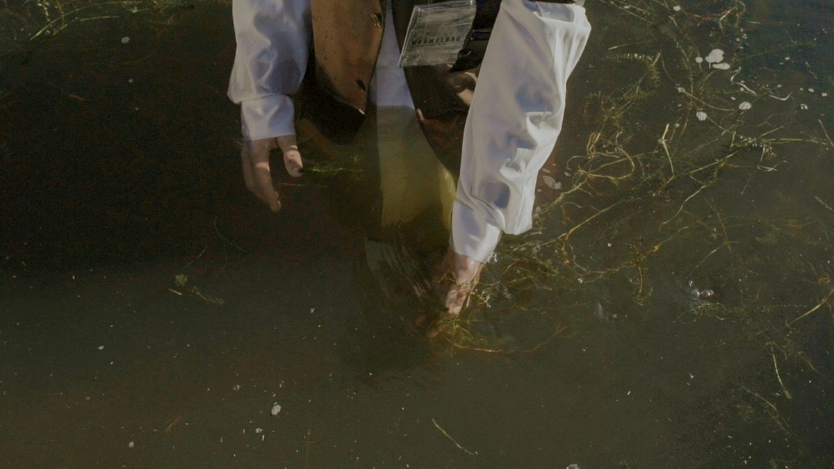 🌊A study from @Griffith_Uni and @UniofAdelaide has underscored the urgent need for coordinated action to address the issues jeopardising lake ecosystems globally scimex.org/newsfeed/lake-…