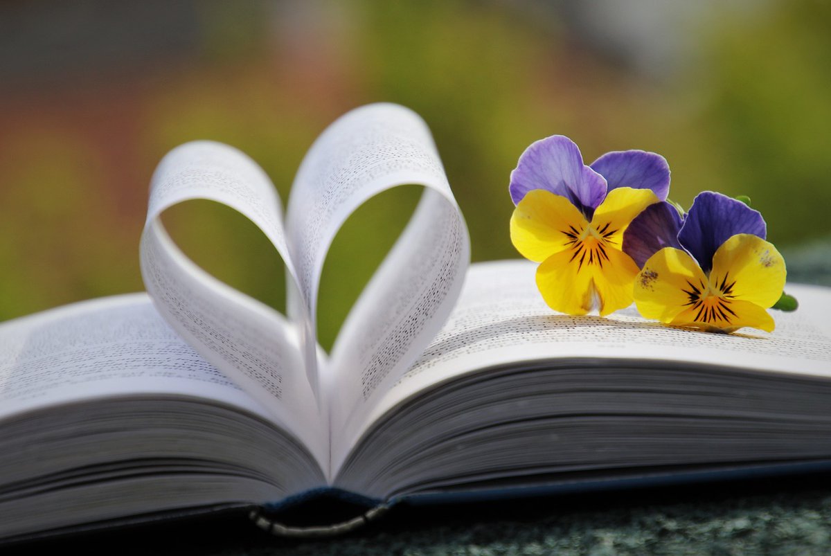 Le 23 avril, c'était la Journée mondiale du livre et des droits d'auteur, événement annuel organisé par l'UNESCO pour défendre et promouvoir la diversité linguistique et le multilinguisme.

#journeemondiale #unesco #droitdauteur #proprieteintellectuelle #23avril #youstory #livre