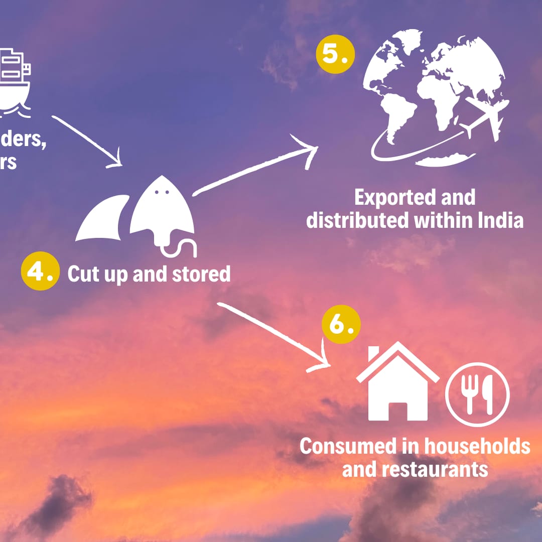 InSeason Fish tweet media