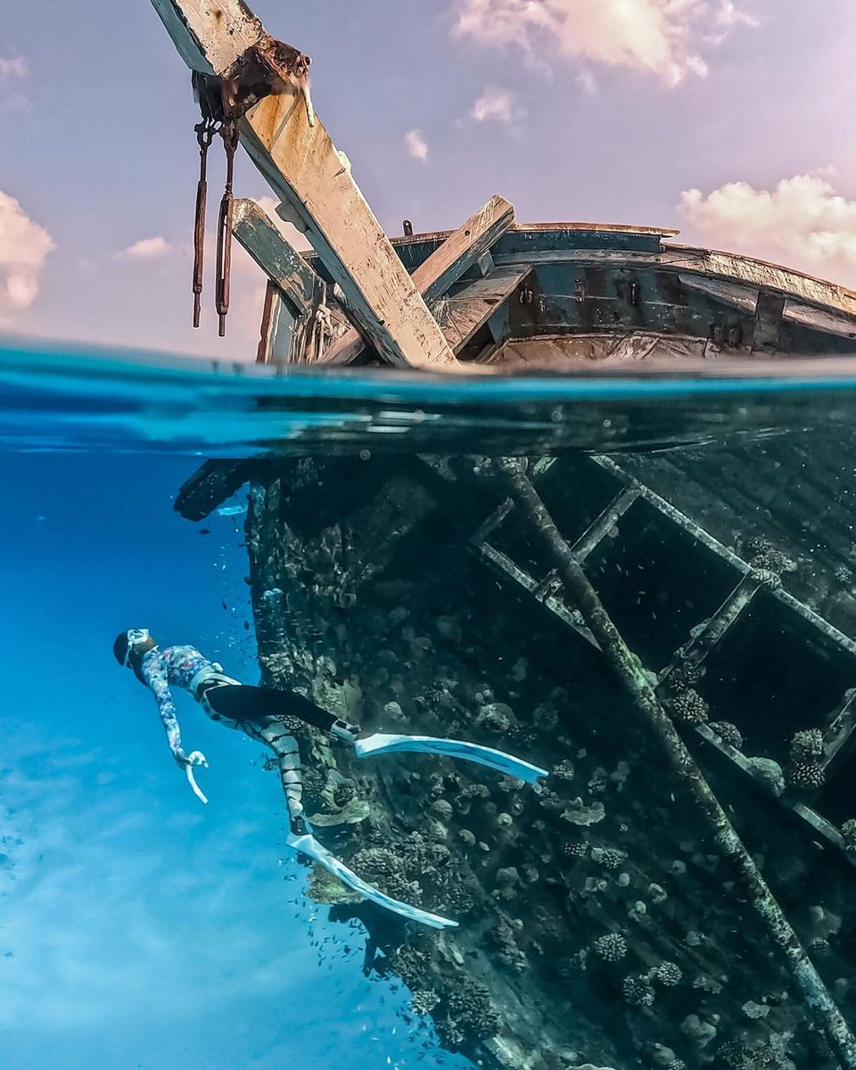 Is wreck diving in the Maldives on your bucket list? 
📷 _laeisha_

#MaldivianAdventures #Maldives #VisitMaldives #SunnySideOfLife #MaldivesWrecks #ScubaLife #DiveTravel #OceanExploration