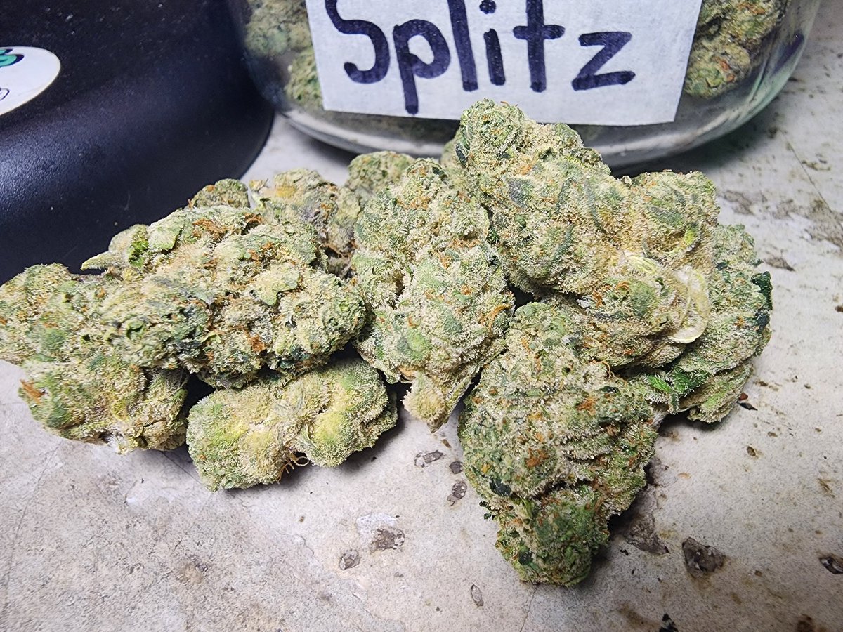 PhuketCannabis1's tweet image. Splitz
#splitz #phuketcannabis
patong-cannabis.com